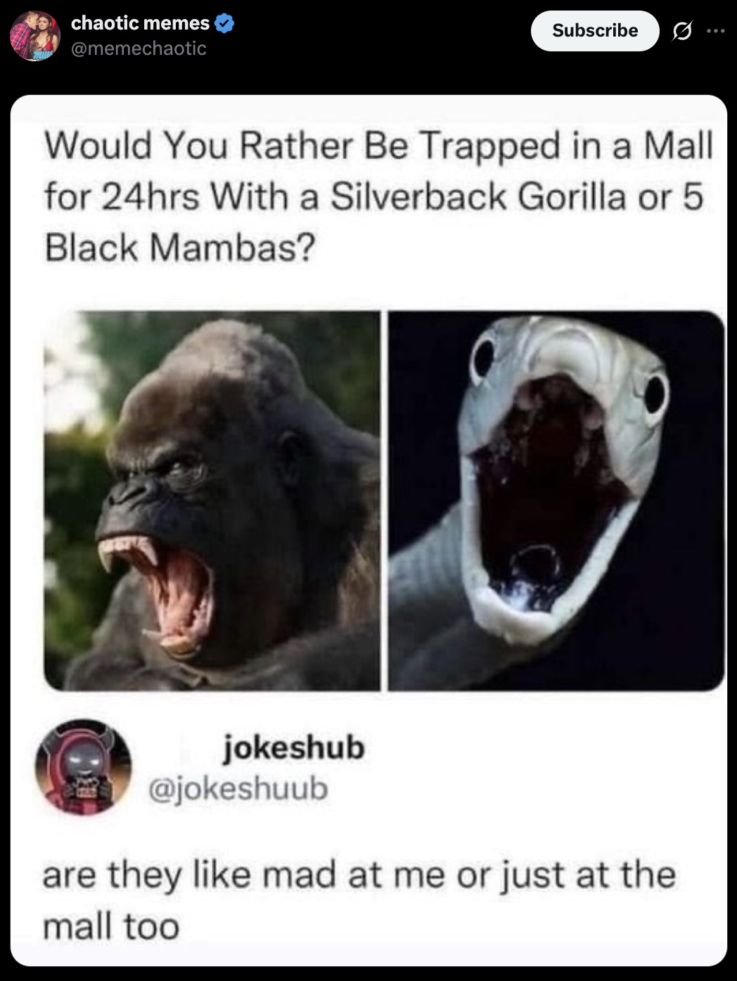 They're your best friends and you just kinda hang.